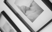 NMW_9409